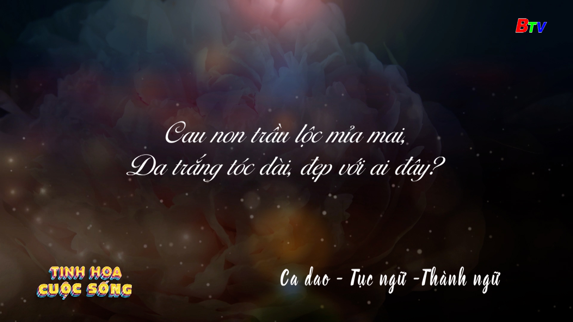 Tinh hoa cuộc sống | Ngày 03/02/2025(2)