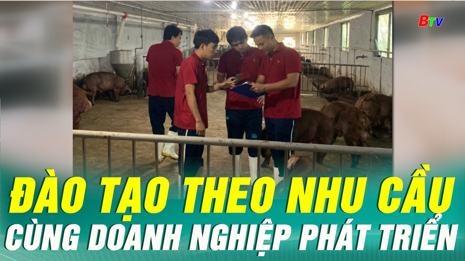Đào tạo theo nhu cầu – Cùng doanh nghiệp phát triển