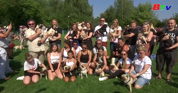 Hoãn cuộc thi đua chó quốc tế Berlin lần thứ 10