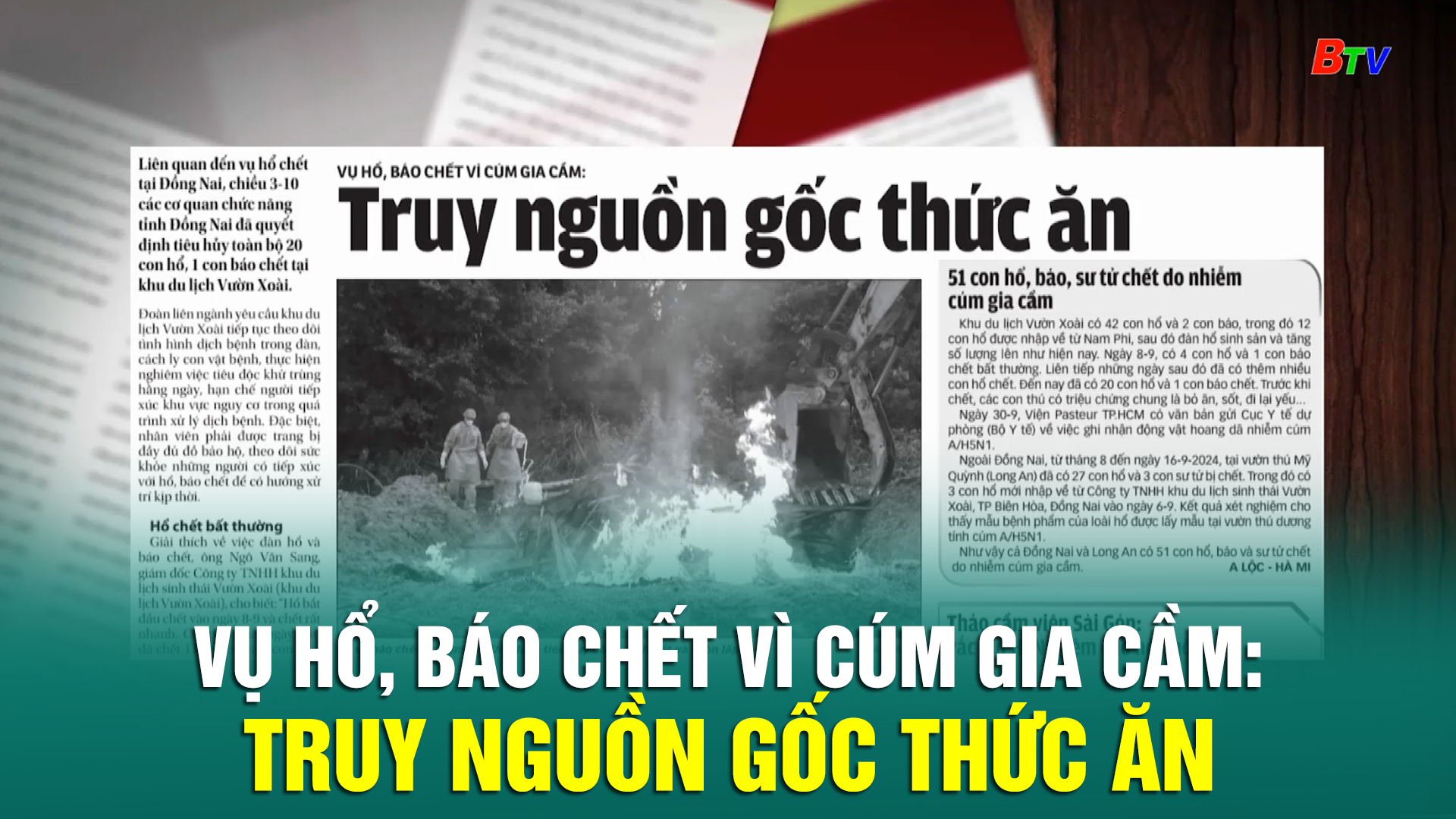 Vụ Hổ, Báo chết vì cúm gia cầm: Truy nguồn gốc thức ăn