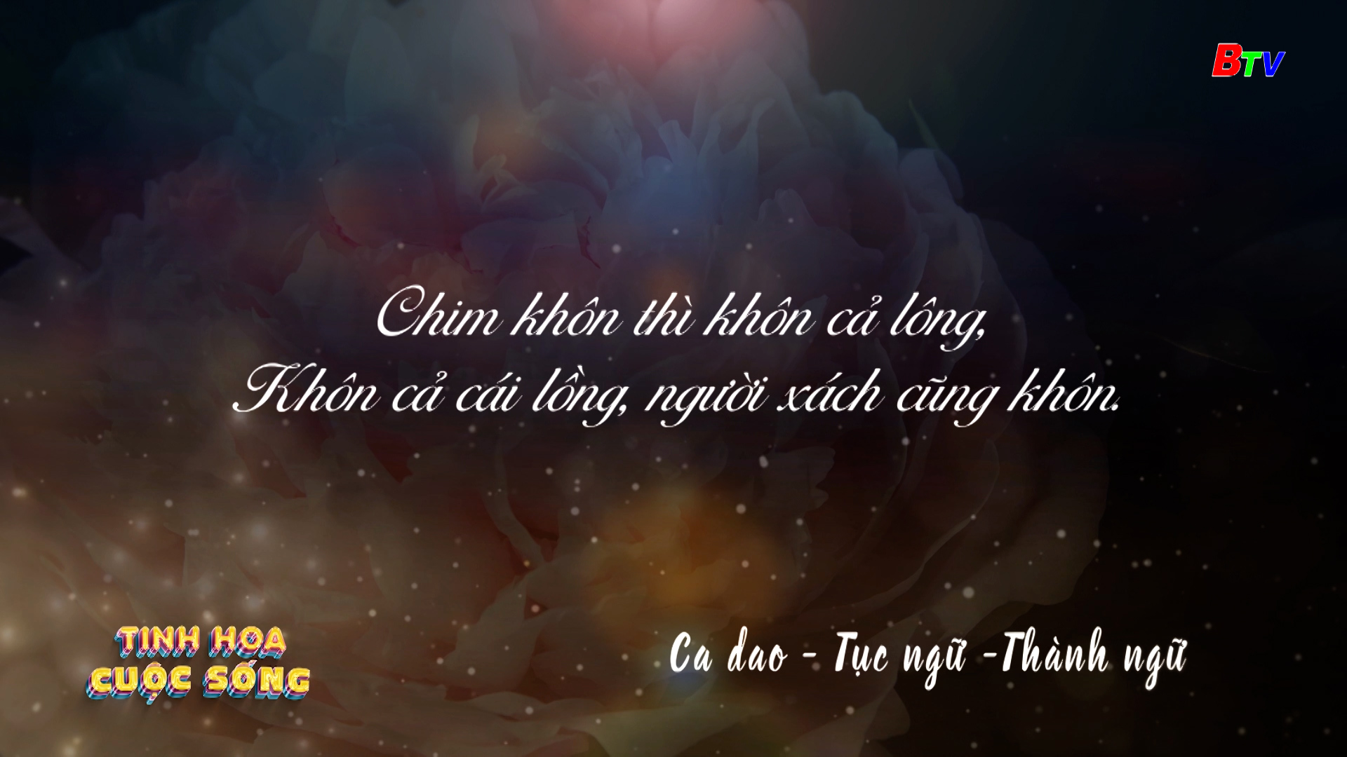 Tinh hoa cuộc sống - số 442