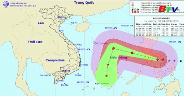 Tin bão trên biển Đông (Cơn bão số 7)