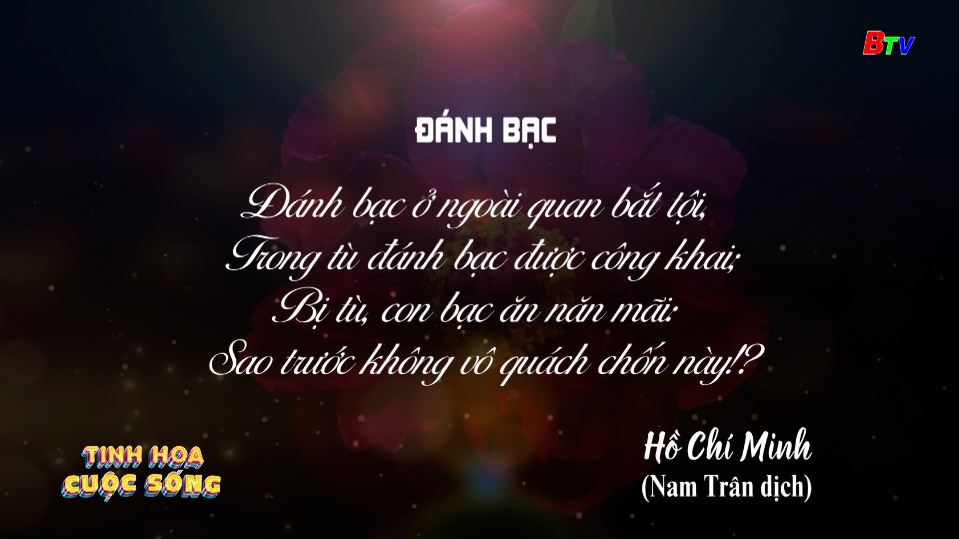 Tinh hoa cuộc sống - số 497