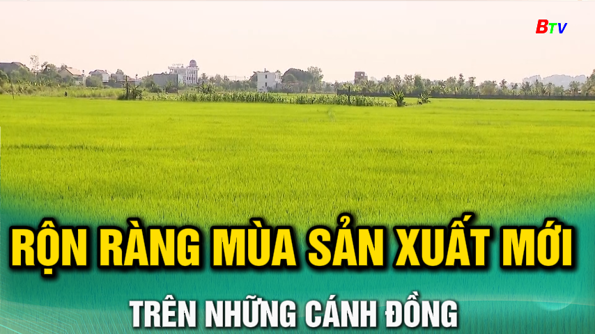 Rộn ràng mùa sản xuất mới trên những cánh đồng 