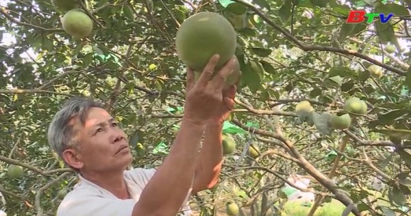 Bình Dương đây mạnh phong trào nông dân thi đua sản xuất kinh doanh giỏi