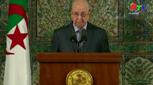 Algeria - Tổng thống tạm quyền kêu gọi đối thoại quốc gia