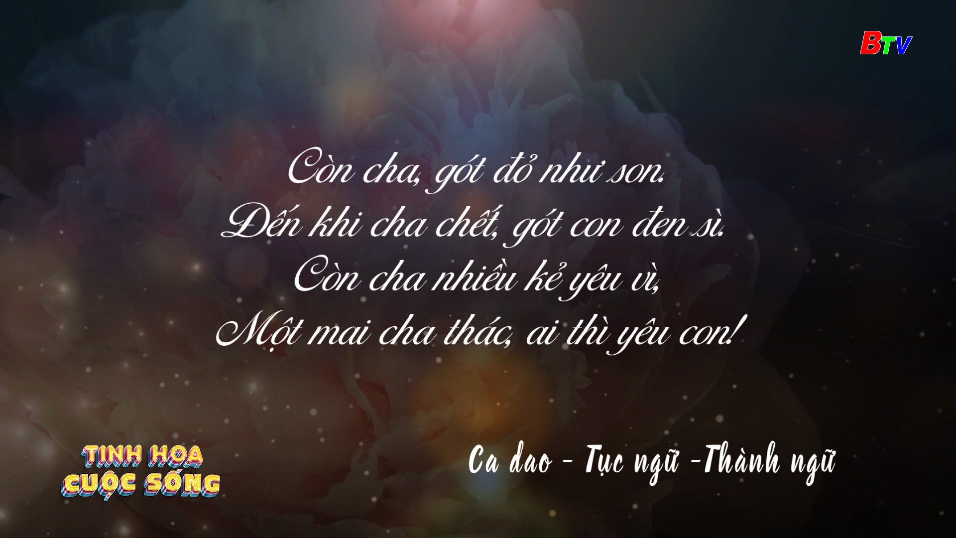 Tinh hoa cuộc sống - số 384