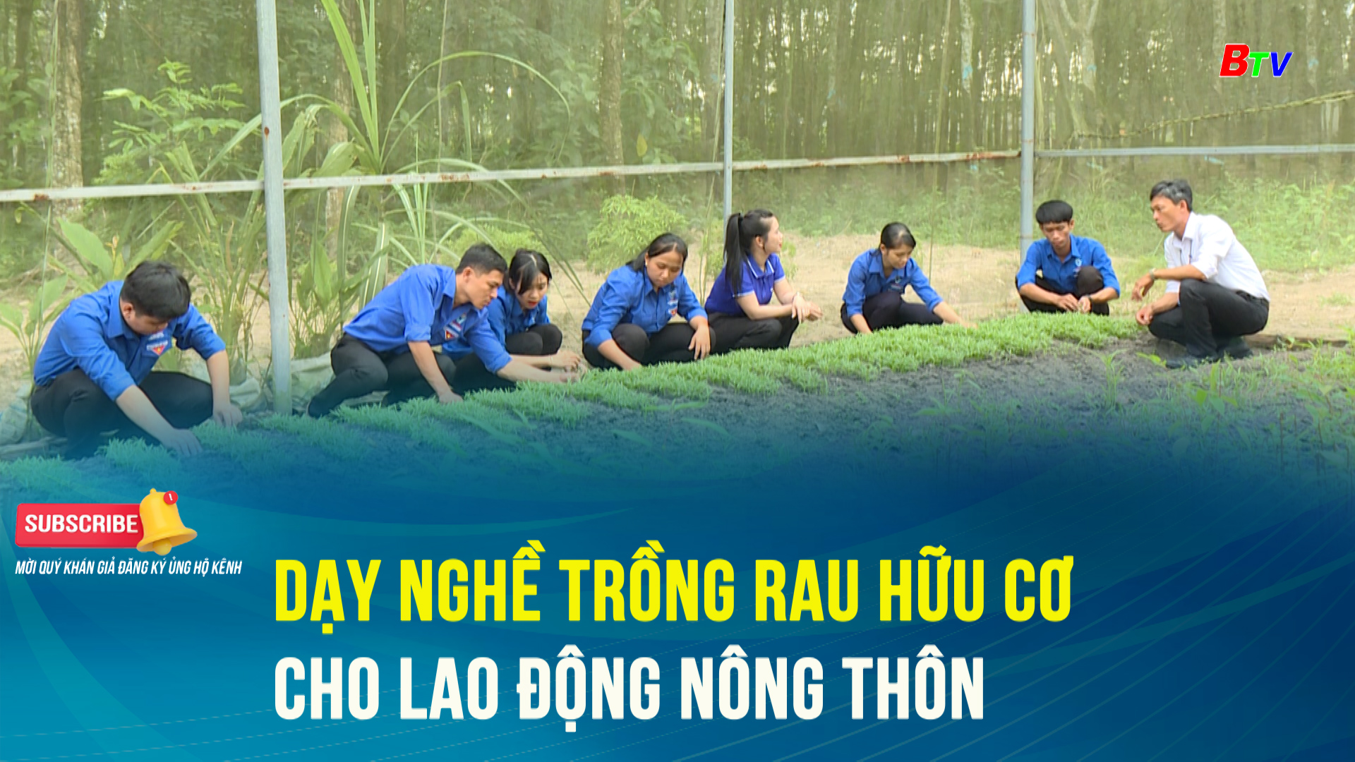 Dạy nghề trồng rau hữu cơ cho lao động nông thôn