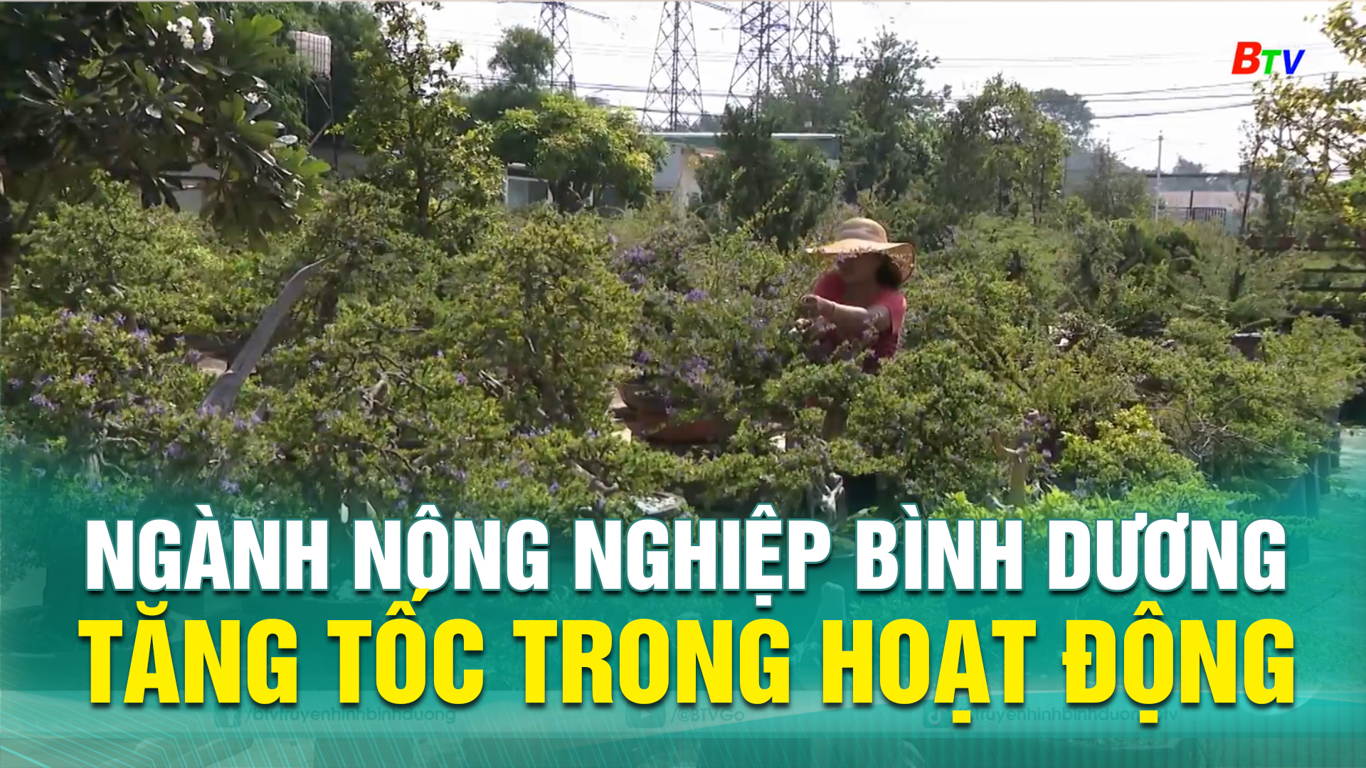 Ngành nông nghiệp Bình Dương tăng tốc trong hoạt động