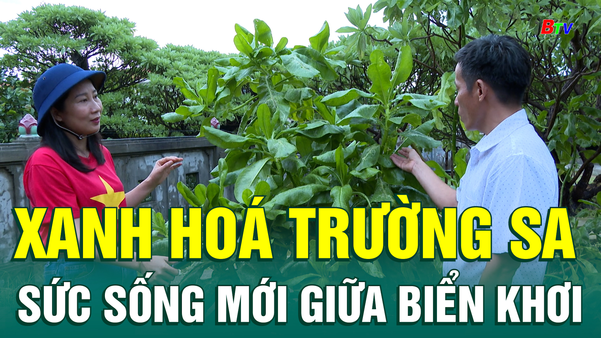 Biển đảo quê hương 02: Xanh hoá Trường Sa – Sức sống mới giữa biển khơi 