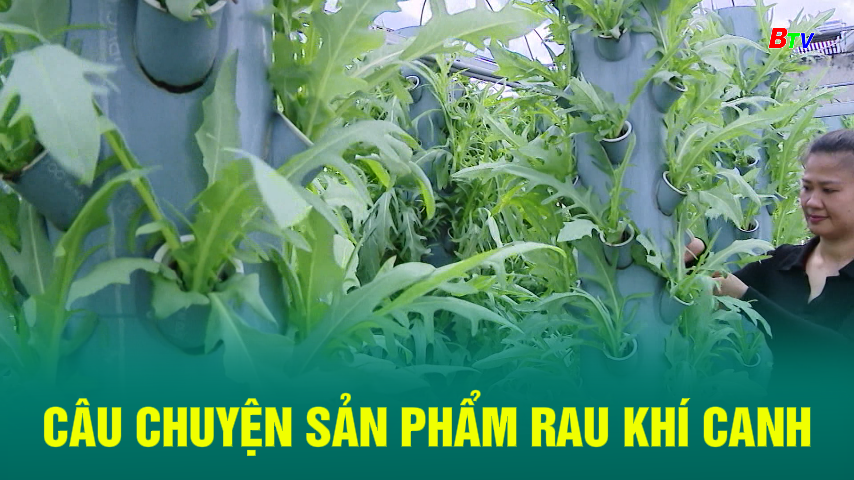 Câu chuyện sản phẩm rau khí canh