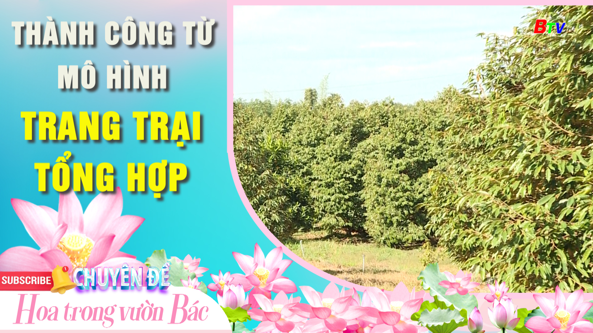 Thành công tư mô hình trang trại tổng hợp  