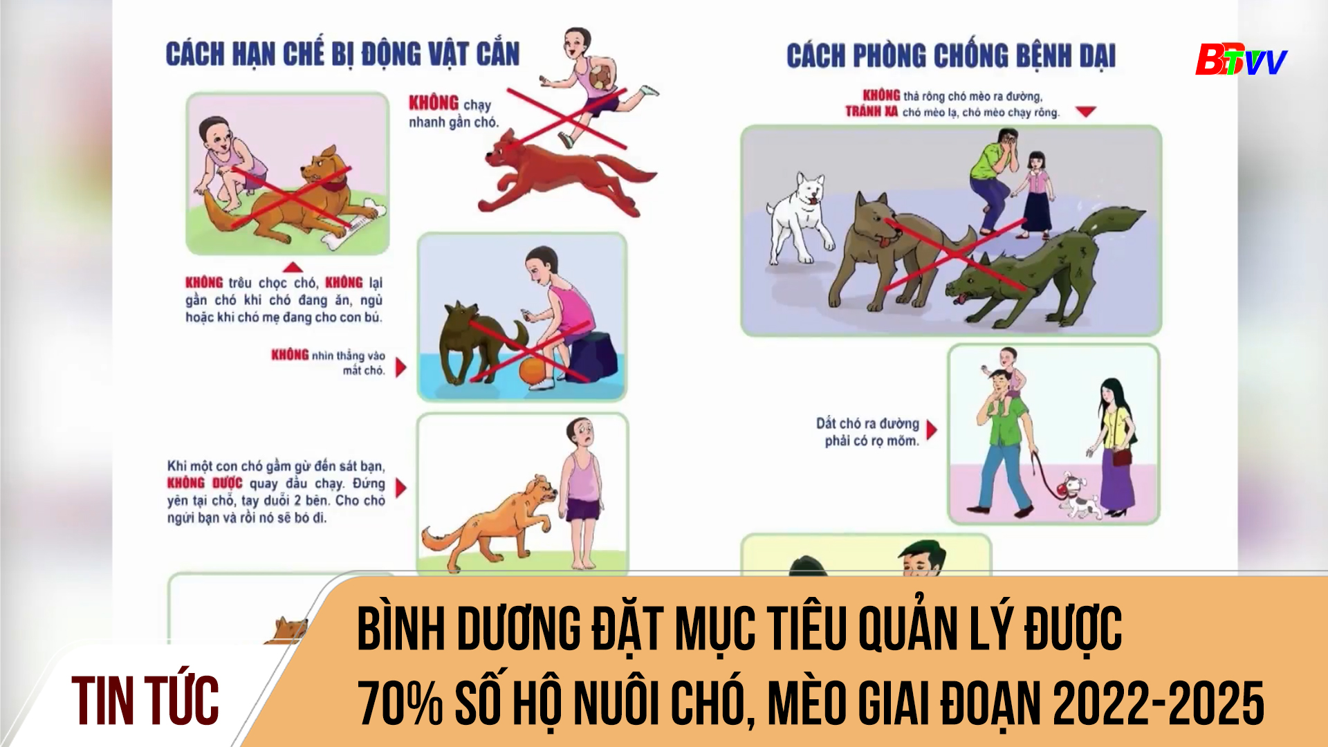 Bình Dương đặt mục tiêu quản lý được 70% số hộ nuôi chó, mèo giai đoạn 2022-2025