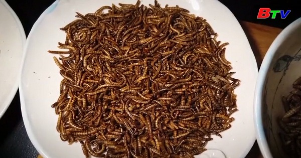 Nhà hàng chuyên phục vụ các món côn trùng tại Nam Phi