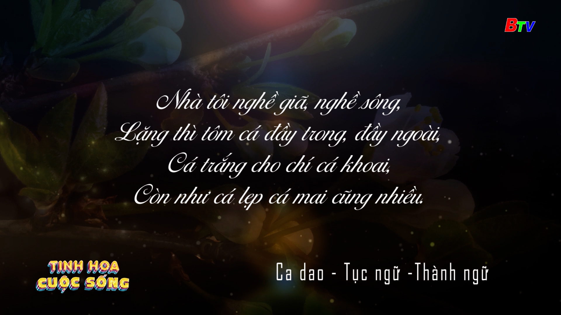 Tinh hoa cuộc sống | Ngày 08/05/2025(2)