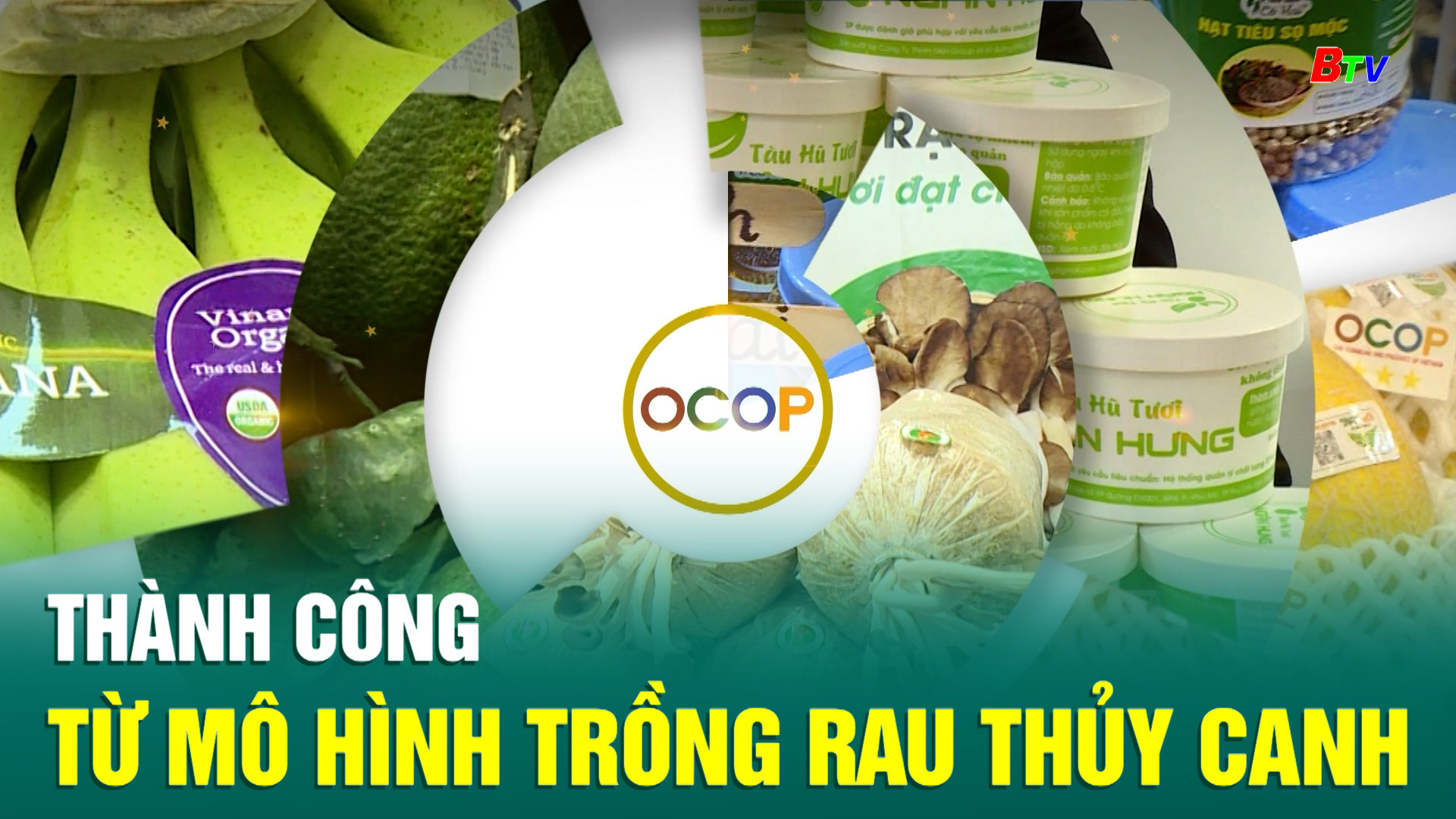 OCOP_Thành công từ mô hình trồng rau thủy canh