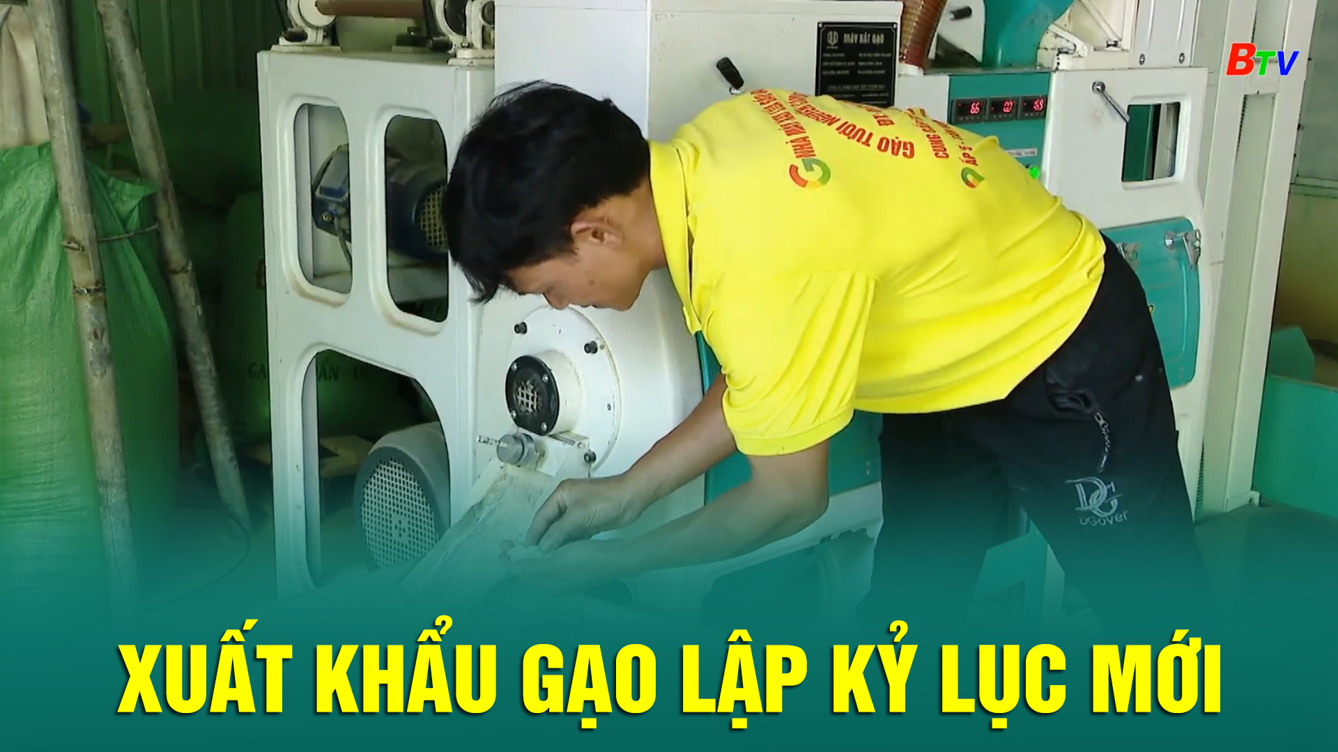 Xuất khẩu gạo lập kỷ lục mới