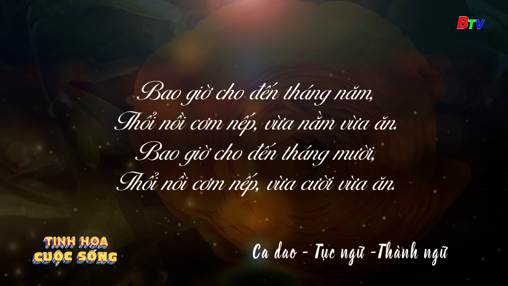 Tinh hoa cuộc sống - số 326