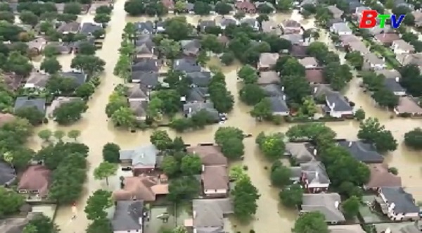 Bão Irma tiếp tục hoành hành gây nhiều thiệt hại