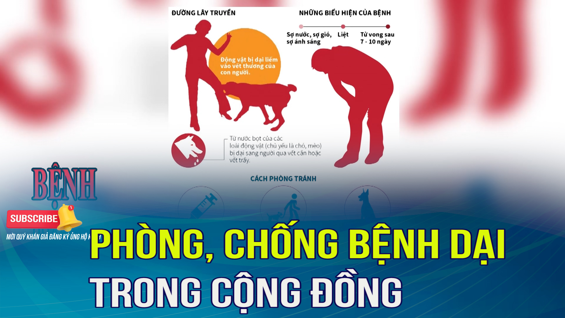 Phòng, chống bệnh dại trong cộng đồng