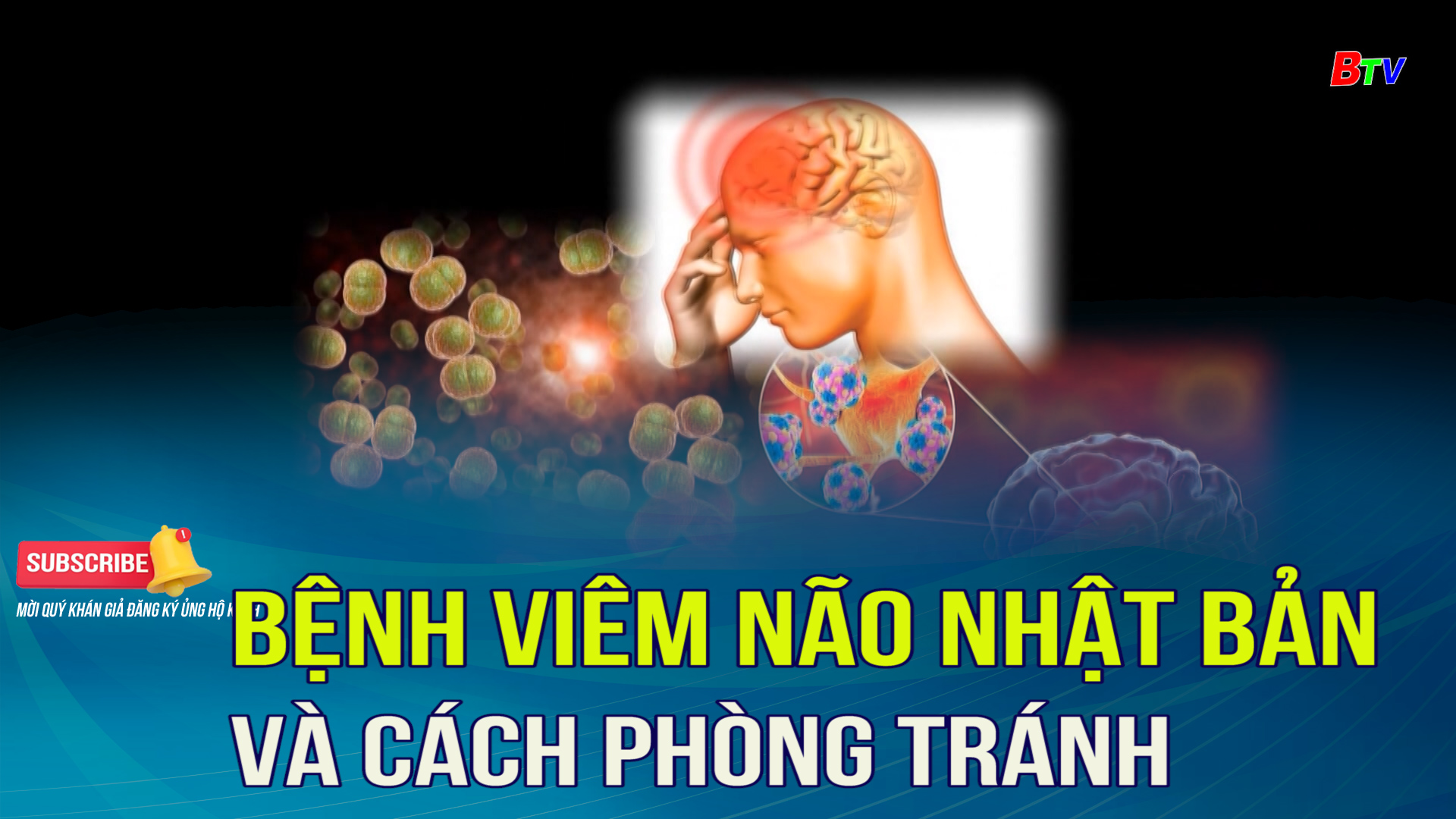 Bệnh viêm não Nhật Bản và cách phòng tránh