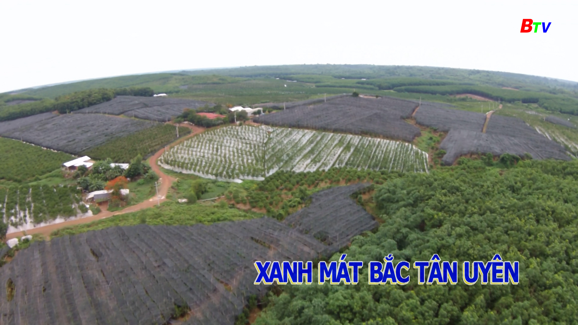 Xanh mát Bắc Tân Uyên