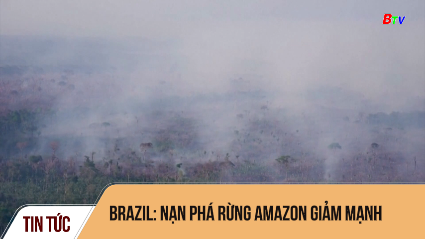 Brazil: nạn phá rừng Amazon giảm mạnh