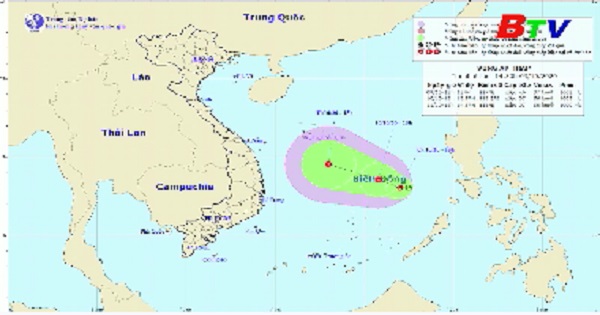 Tin về vùng áp thấp trên biển Đông