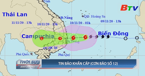 Tin bão khẩn cấp (Cơn bão số 12)