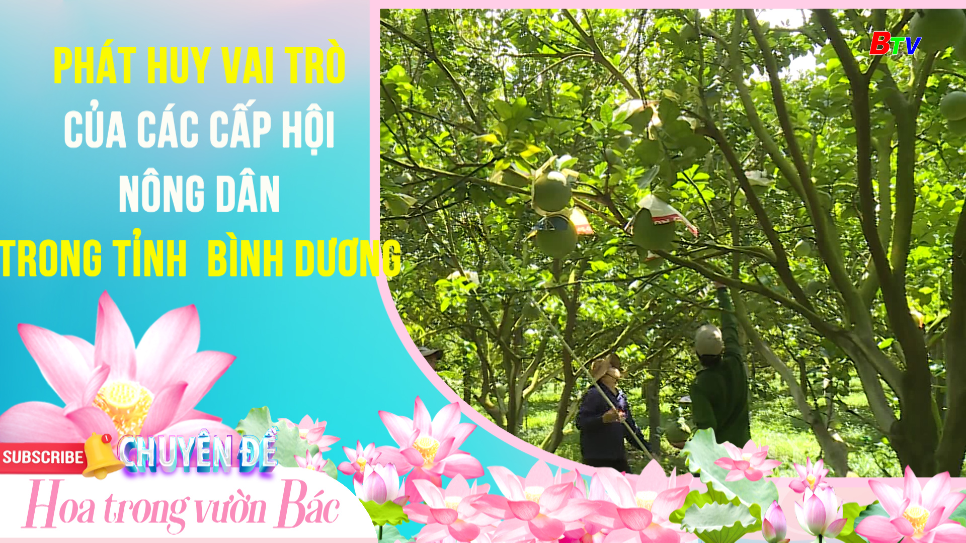 Cần phát huy vai trò của các cấp Hội nông dân trong tỉnh Bình Dương