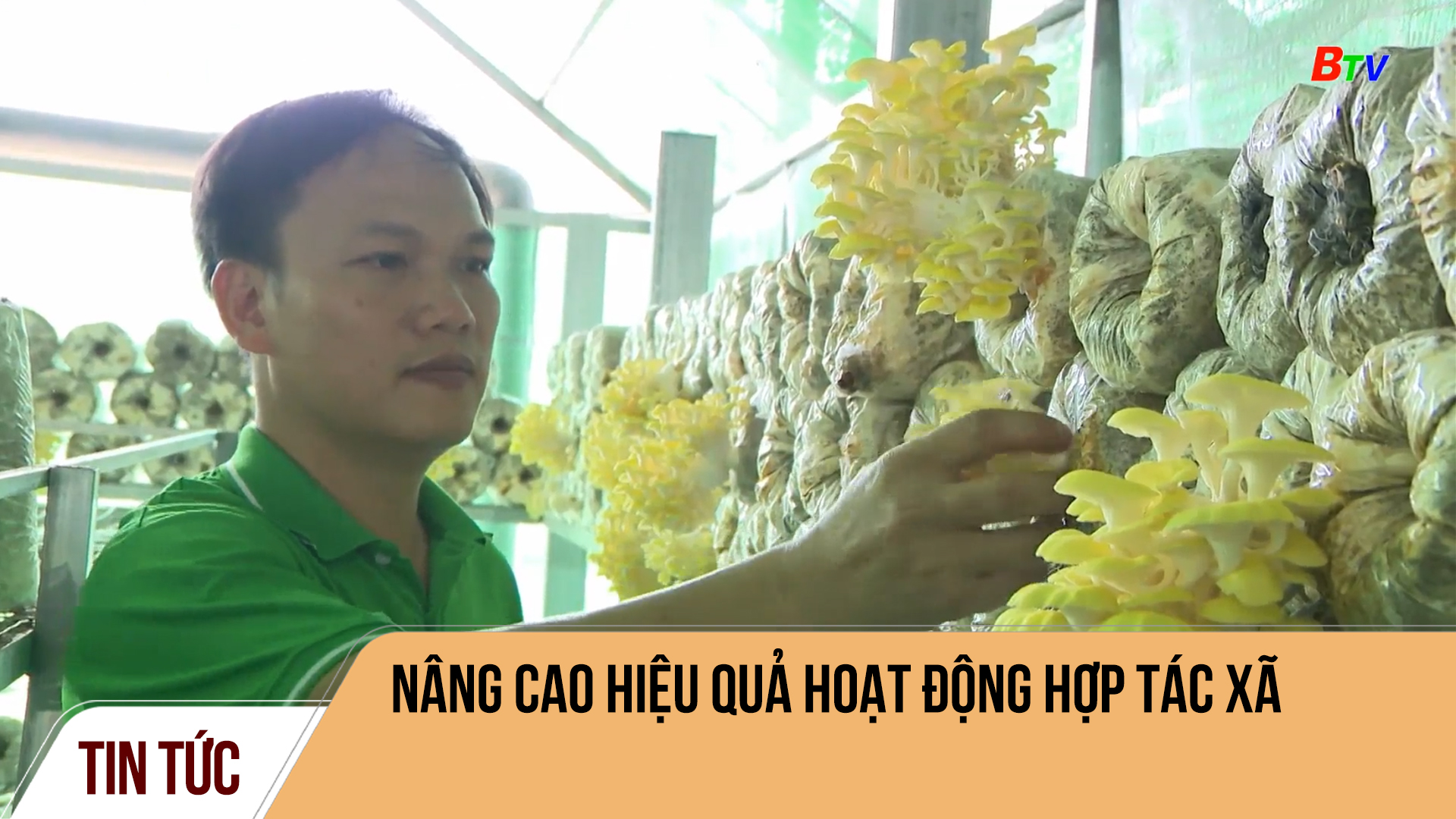 Nâng cao hiệu quả hoạt động hợp tác xã