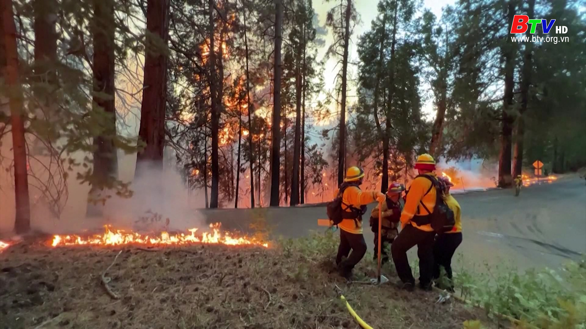 Cháy rừng lan nhanh tại bang California (Mỹ)