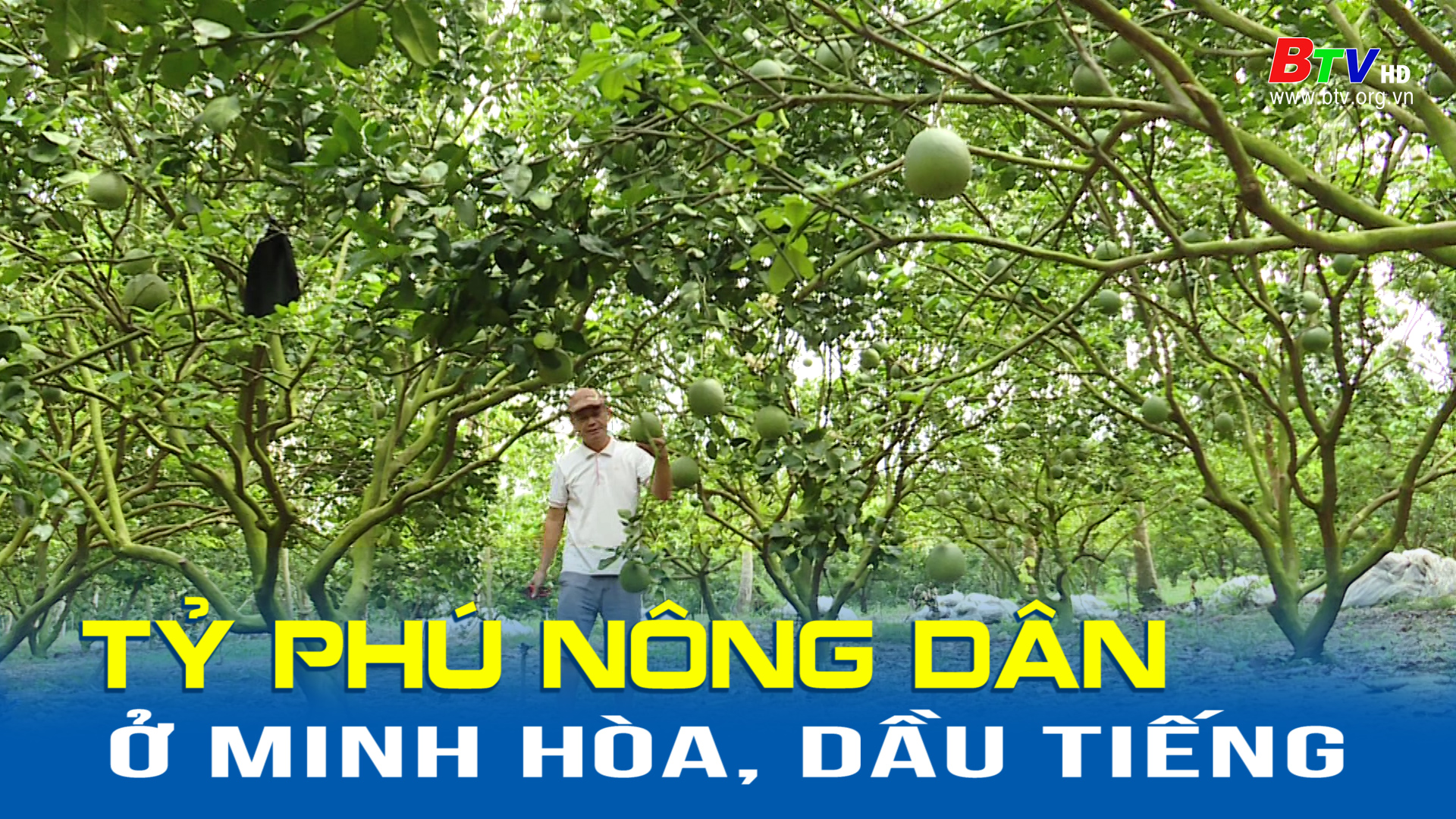 Tỷ phú nông dân ở Minh Hòa, Dầu Tiếng