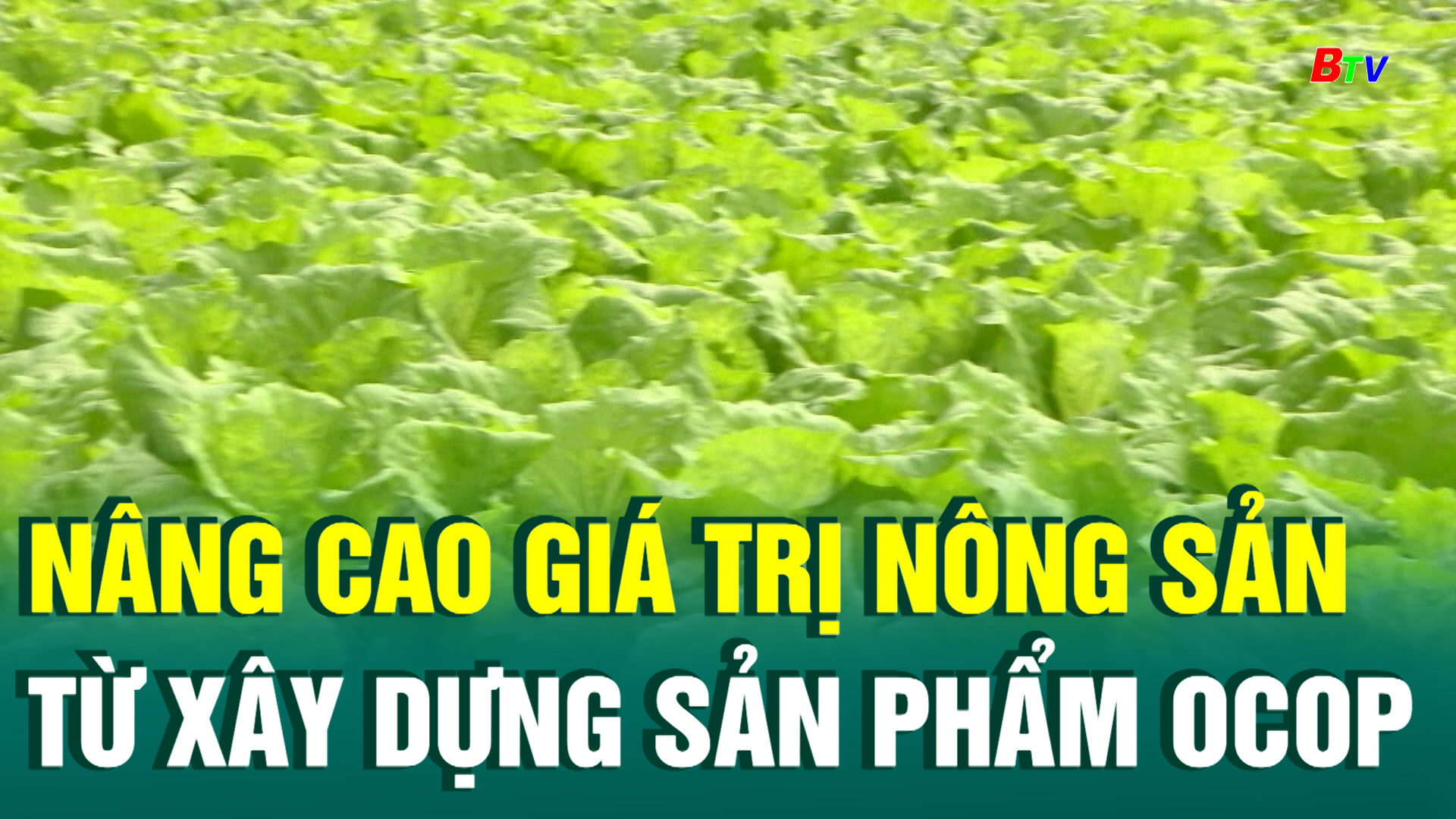 Nâng cao giá trị nông sản từ xây dựng sản phẩm OCOP