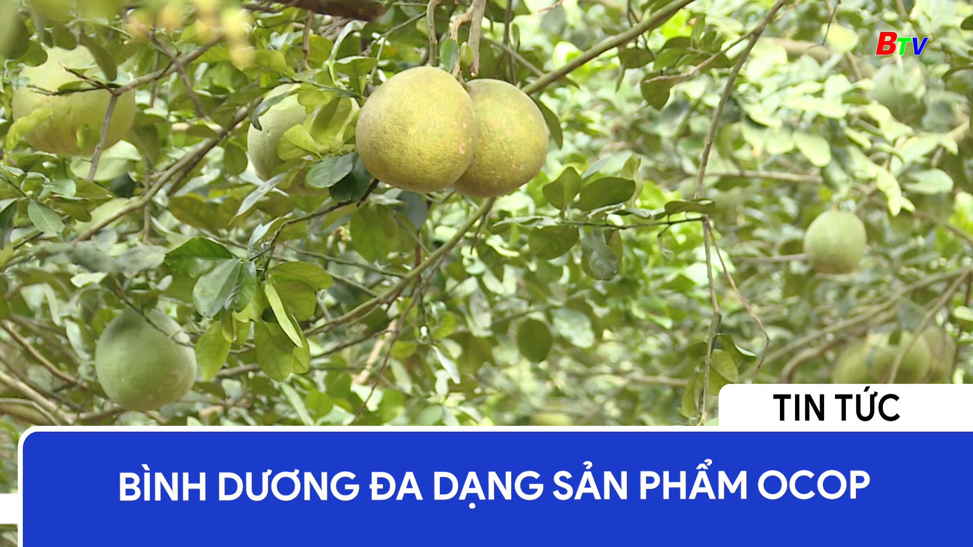 Bình Dương đa dạng sản phẩm OCOP