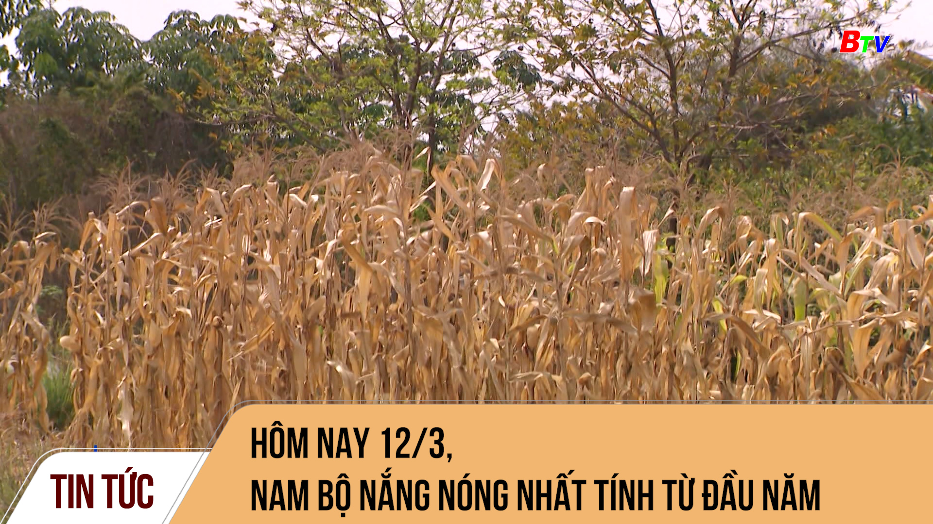 Hôm nay 12/3, Nam Bộ nắng nóng nhất tính từ đầu năm