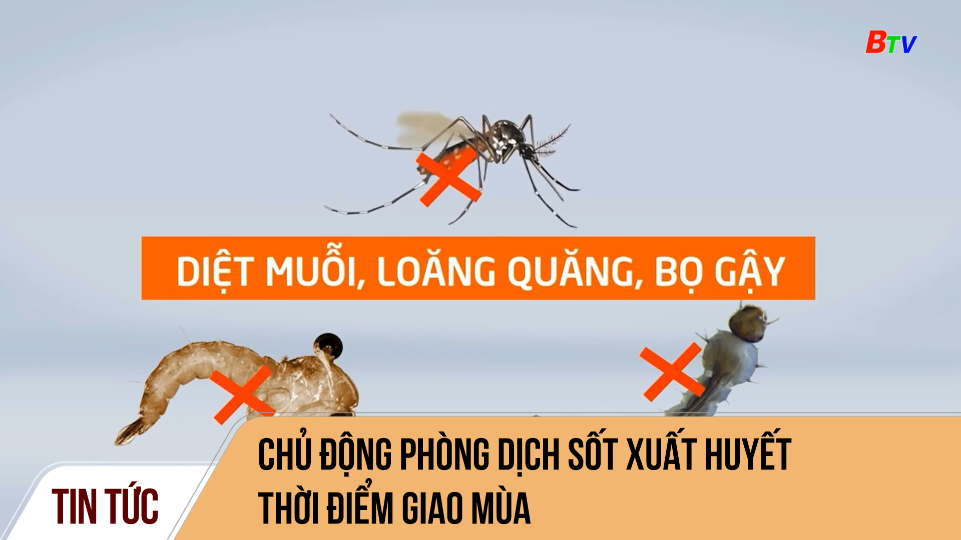 Chủ động phòng dịch sốt xuất huyết thời điểm giao mùa