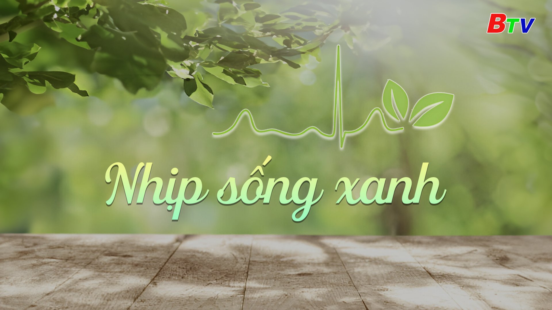 Nhịp sống xanh | Ngày 15/1/2024