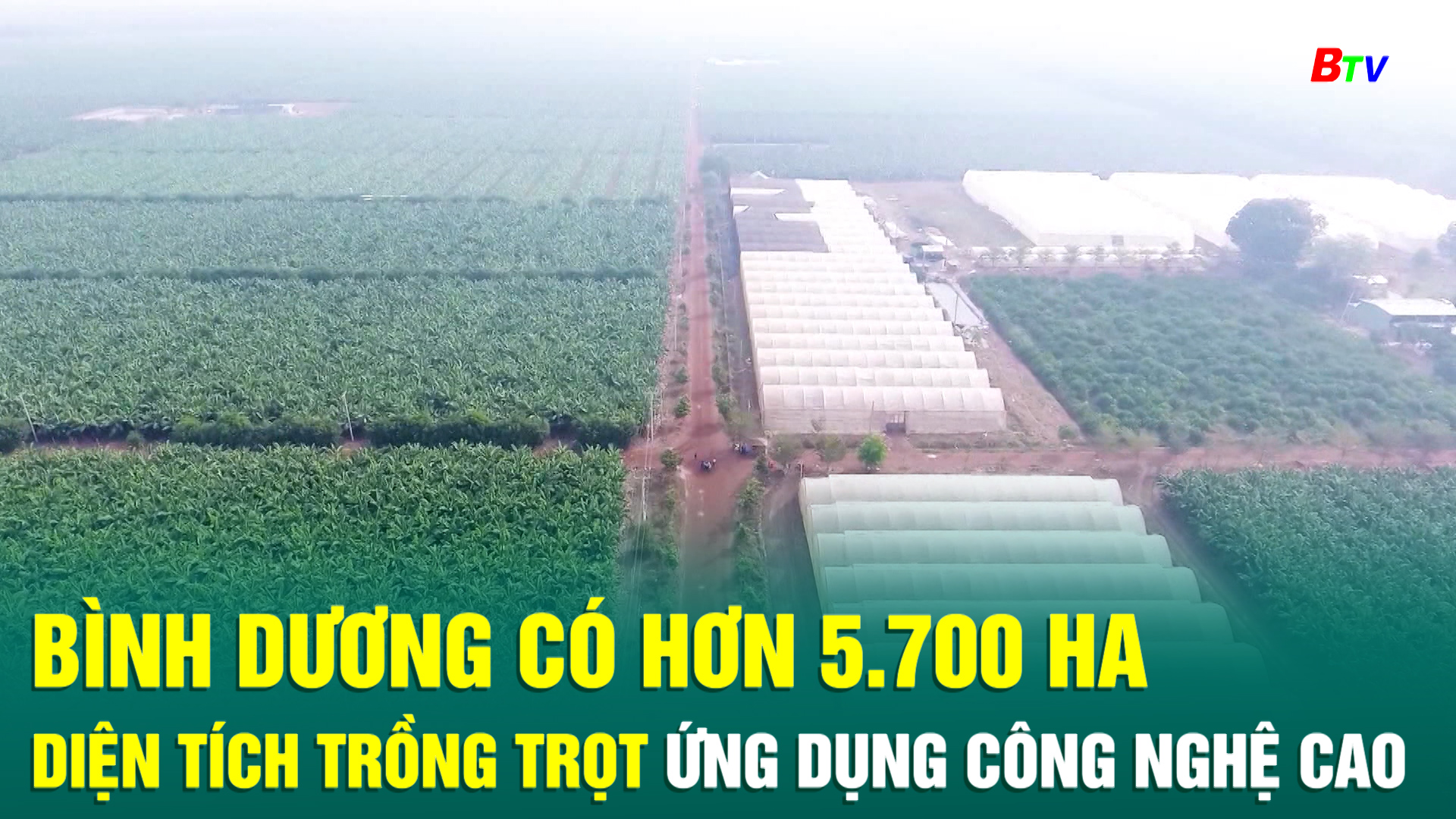 Bình Dương có hơn 5.700 ha diện tích trồng trọt ứng dụng công nghệ cao