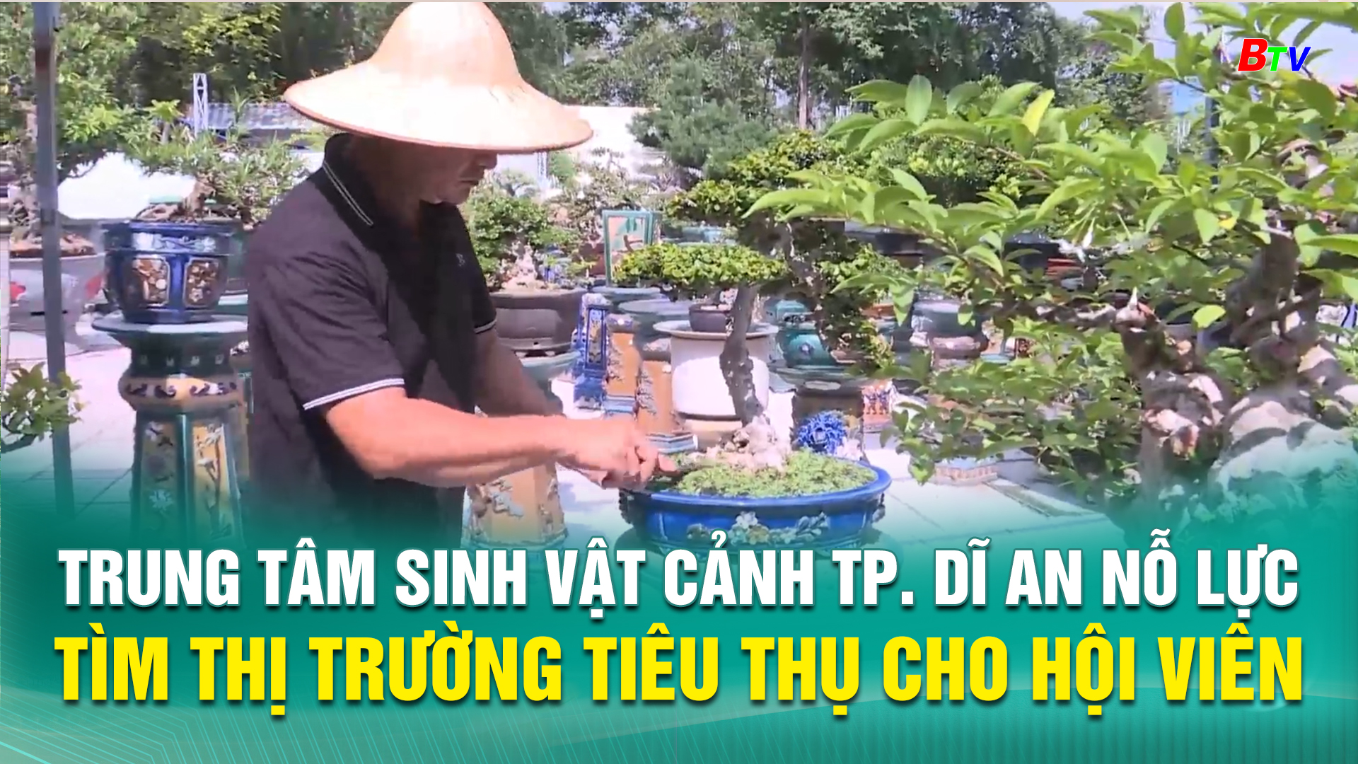 Trung tâm Sinh vật cảnh TP. Dĩ An nỗ lực tìm thị trường tiêu thụ cho hội viên