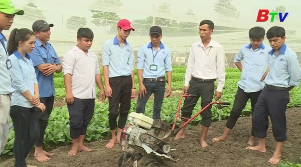 Lớp trồng rau an toàn cho lao động nông thôn