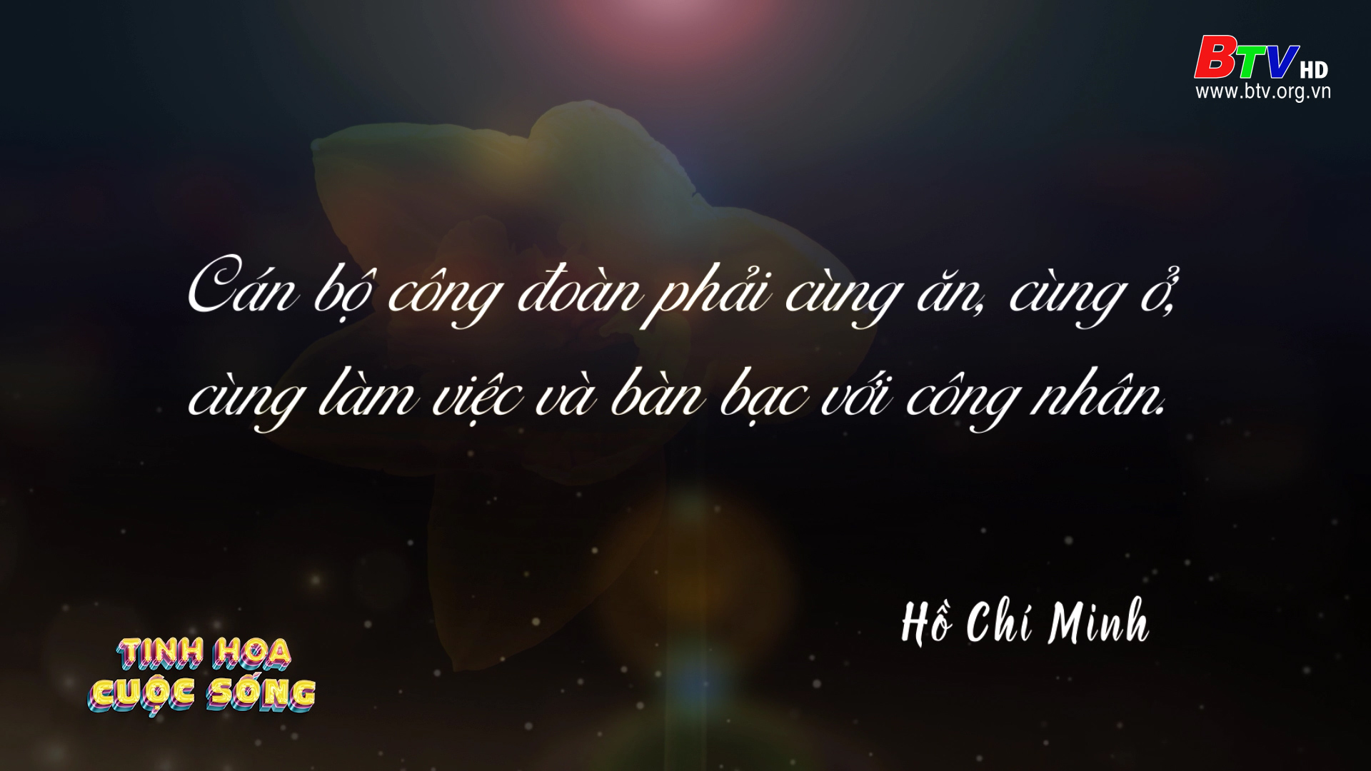 Tinh hoa cuộc sống - số 31