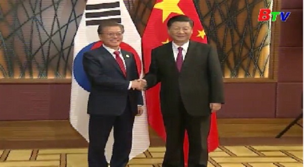 Chủ tịch Trung Quốc gặp lãnh đạo Nhật Bản và Hàn Quốc