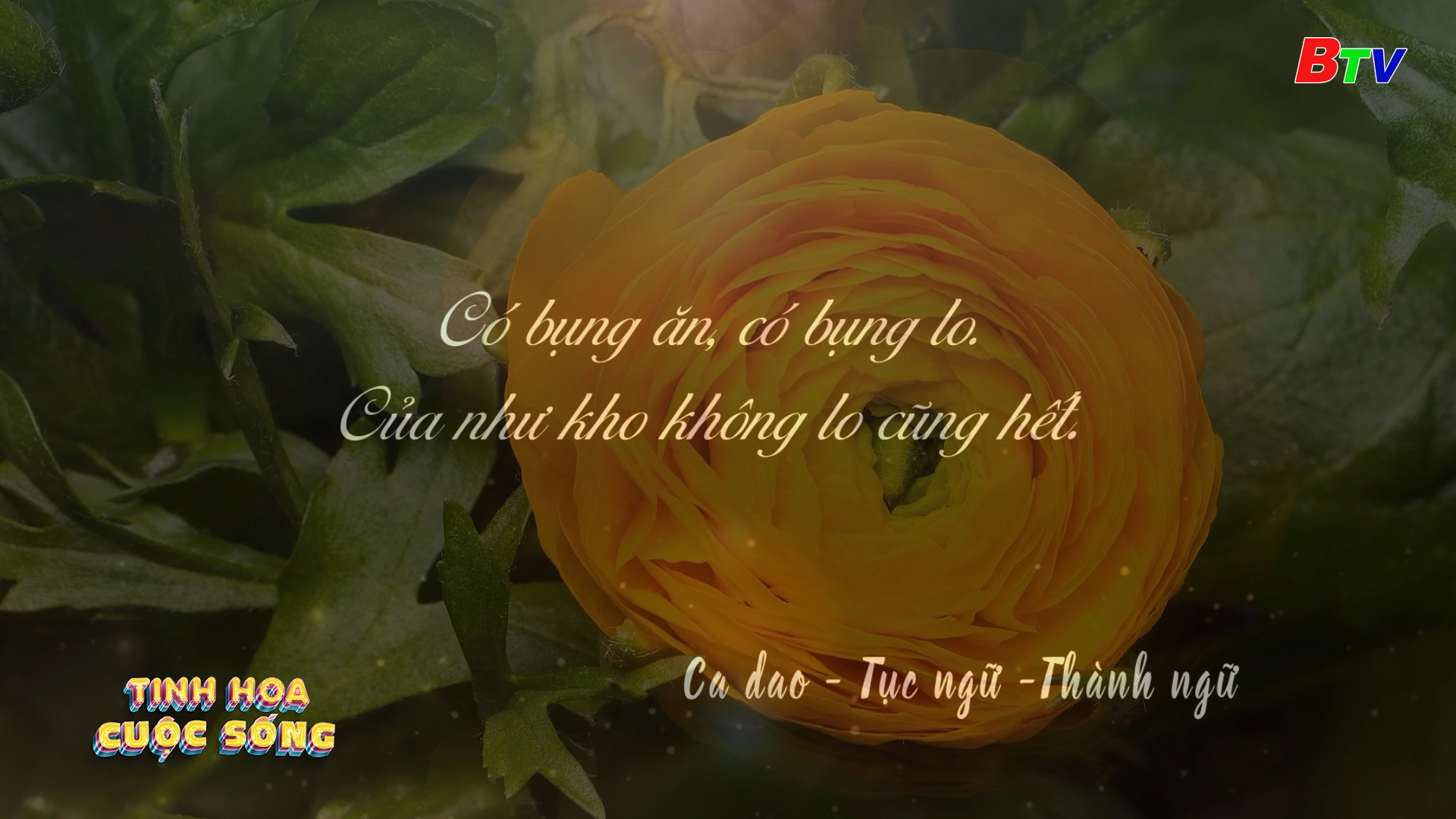 Tinh hoa cuộc sống - số 151