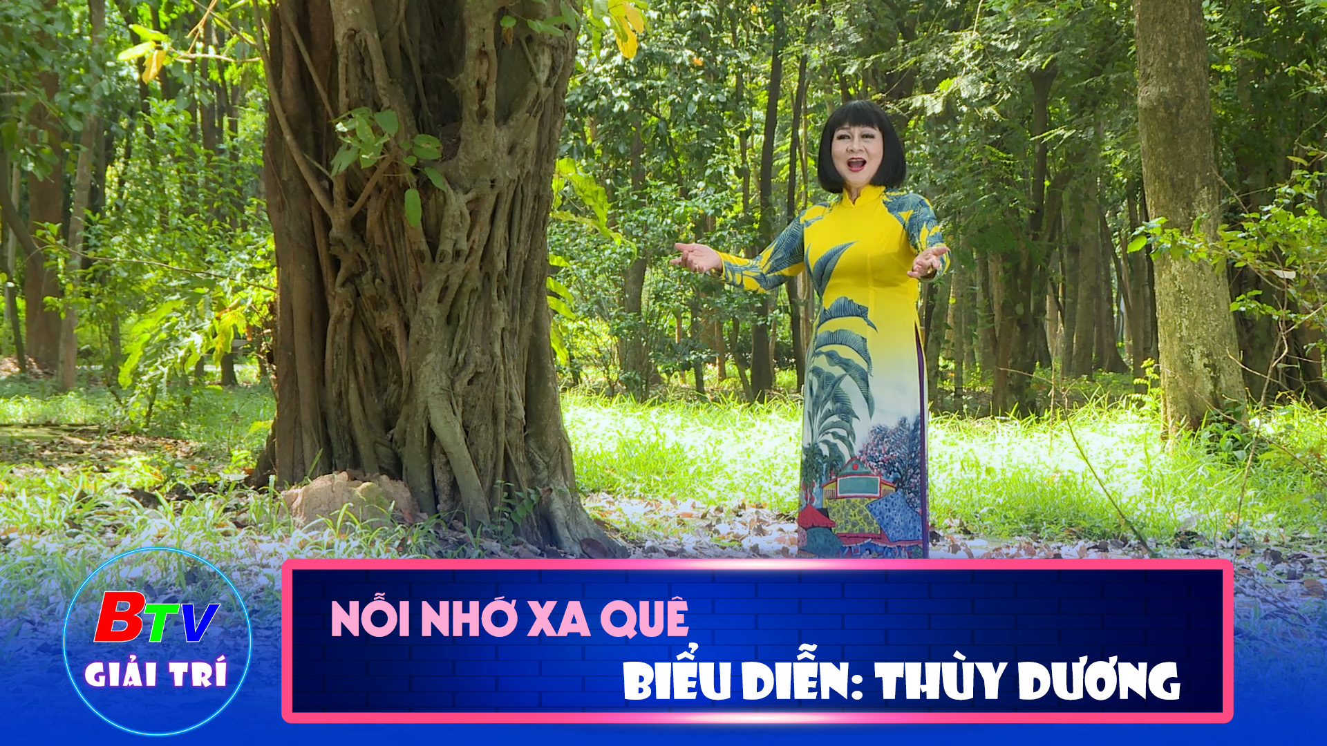 Nỗi nhớ xa quê