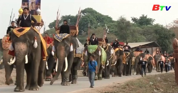 Đàn voi Thái Lan thưởng thức tiệc Buffet trái cây