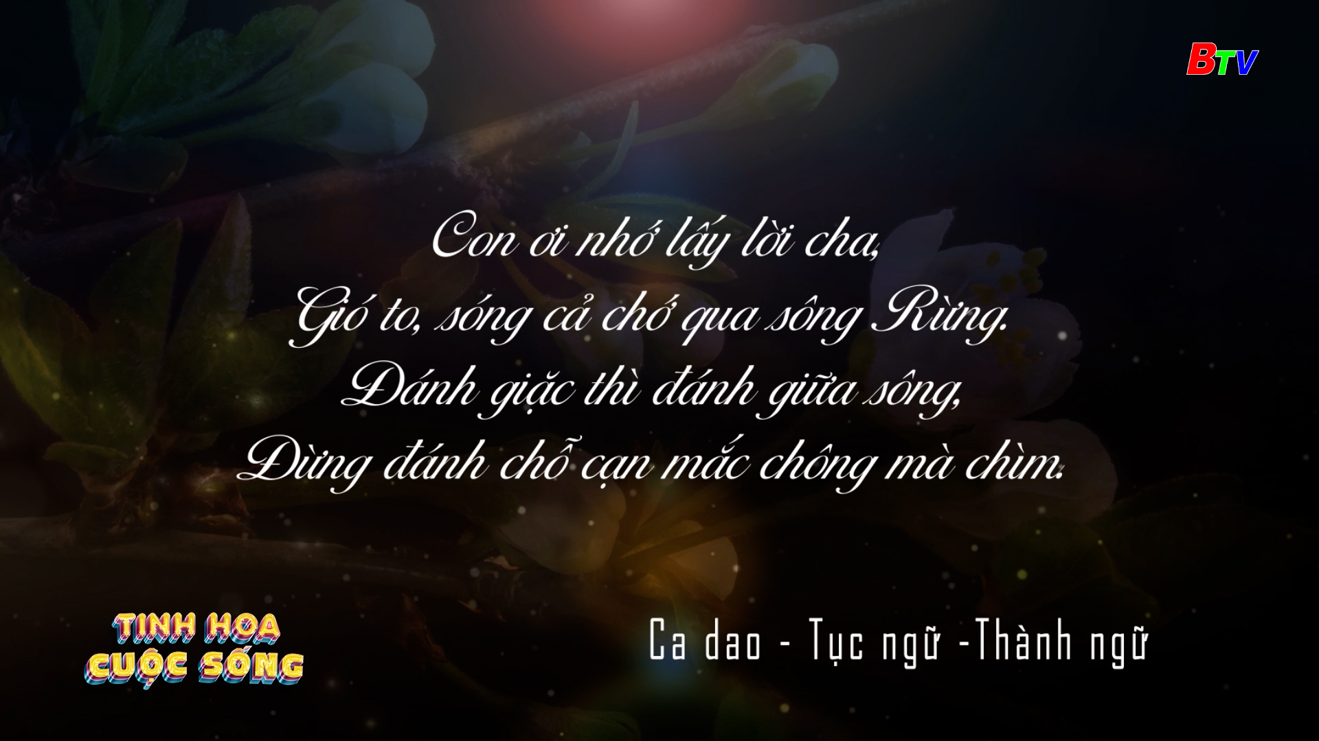 Tinh hoa cuộc sống | Ngày 14/05/2025(2)