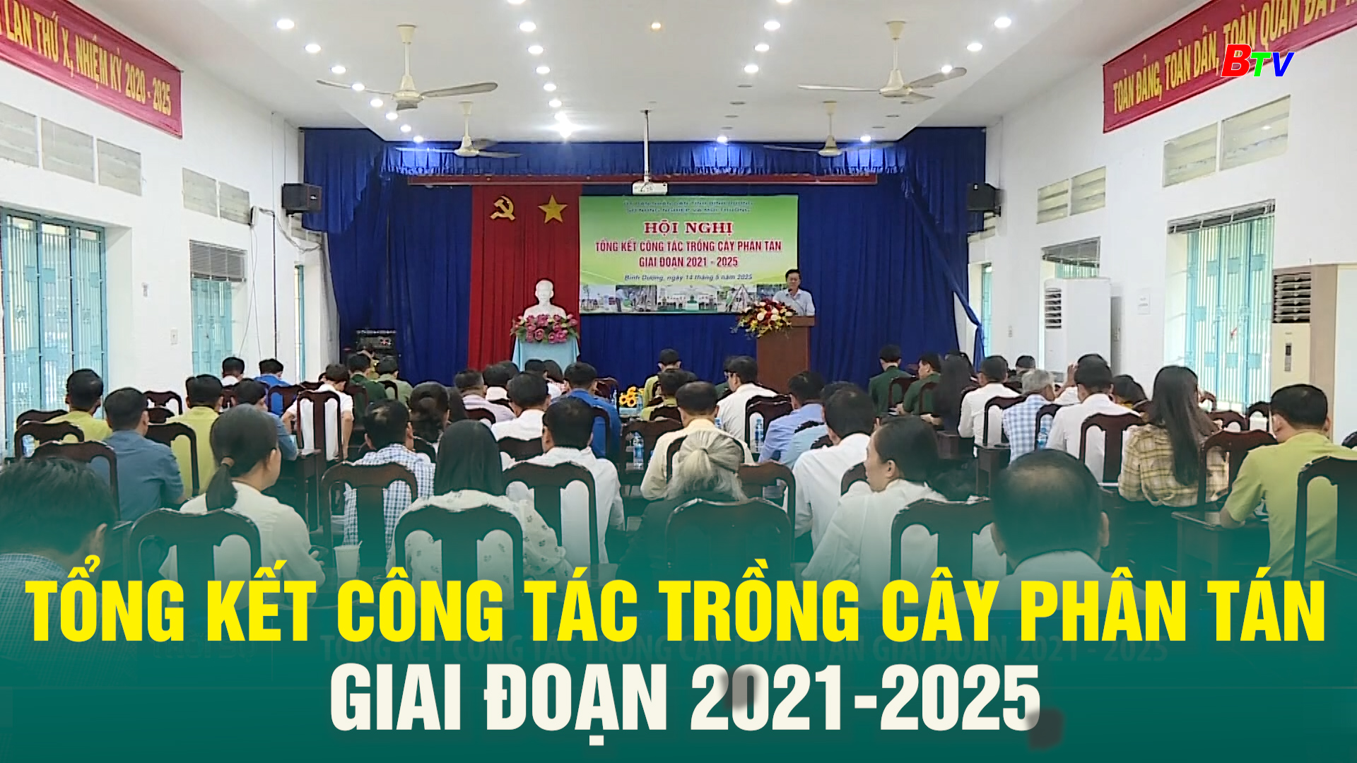 Tổng kết công tác trồng cây phân tán giai đoạn 2021-2025