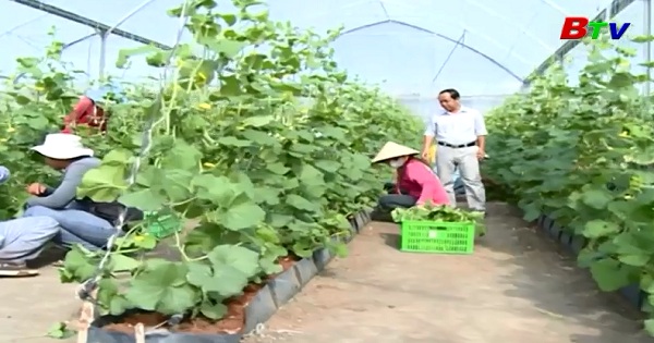 Nông nghiệp công nghệ cao ở Phú Giáo