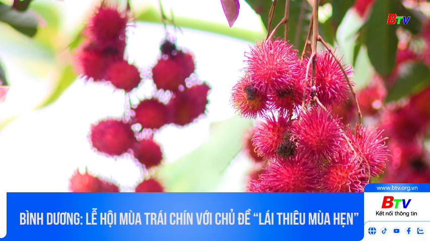 Bình Dương: lễ hội mùa trái chín với chủ đề “Lái Thiêu mùa hẹn”